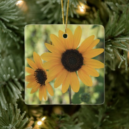 Arrow Leaf Balsamroot Ornament