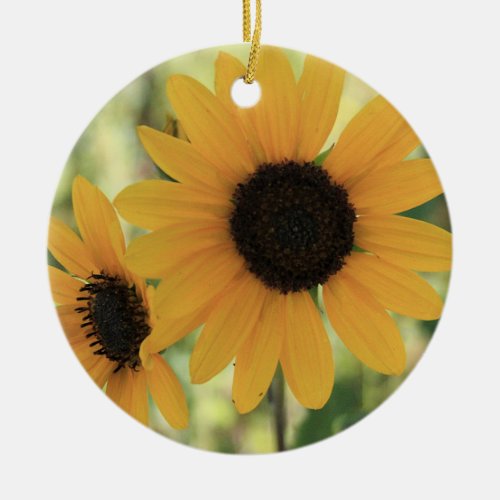 Arrow Leaf Balsamroot  Ornament