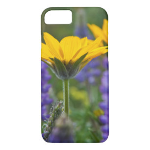 Arrowleaf Balsam Root and Lupine in Spring Bloom iPhone 8/7 Case