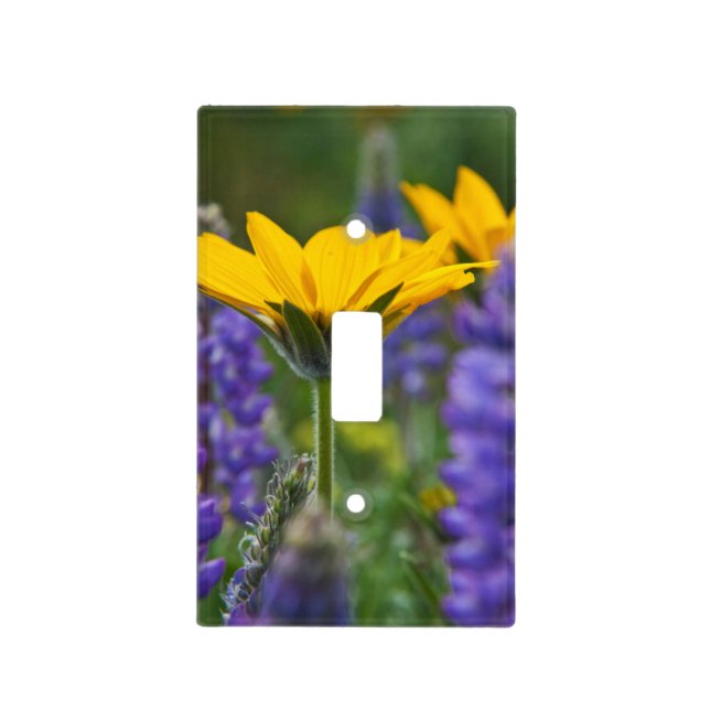 Arrowleaf Balsam Root and Lupine in Spring Bloom Light Switch Cover (Front)