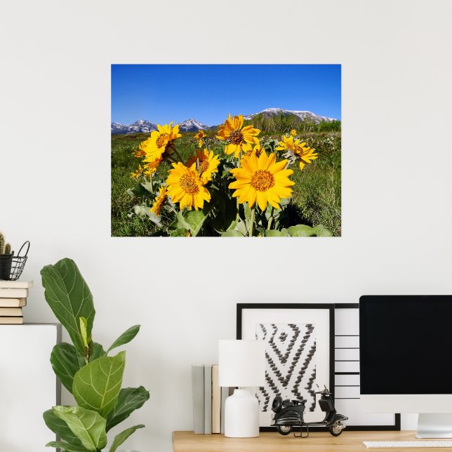 Arrowleaf Balsamroot Framed Print (Home Office)