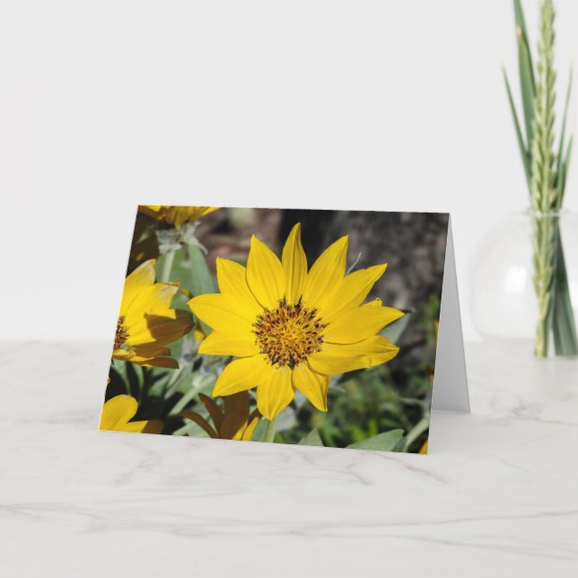 Arrowleaf Balsamroot Notecard (Front)