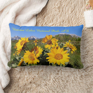Arrowleaf Balsamroot Wildflower Lumbar Pillow