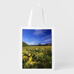 Arrowleaf balsomroot covers the praire with reusable grocery bag
