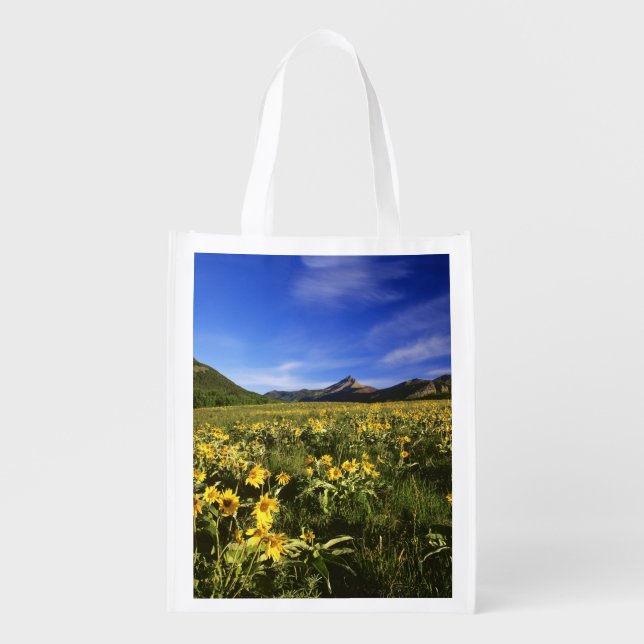 Arrowleaf balsomroot covers the praire with reusable grocery bag (Front)