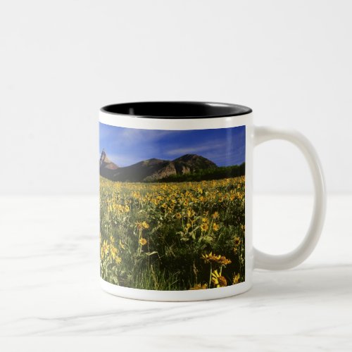 Arrowleaf balsomroot covers the praire with Two_Tone coffee mug