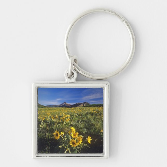 Arrowleaf balsomroot wildflowers in Waterton 2 Keychain (Front)
