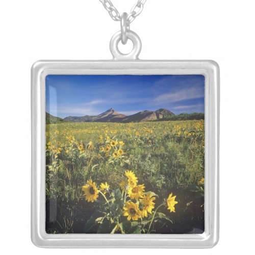 Arrowleaf balsomroot wildflowers in Waterton 2 Silver Plated Necklace