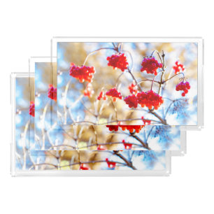 Arrowwood Berries Acrylic Tray