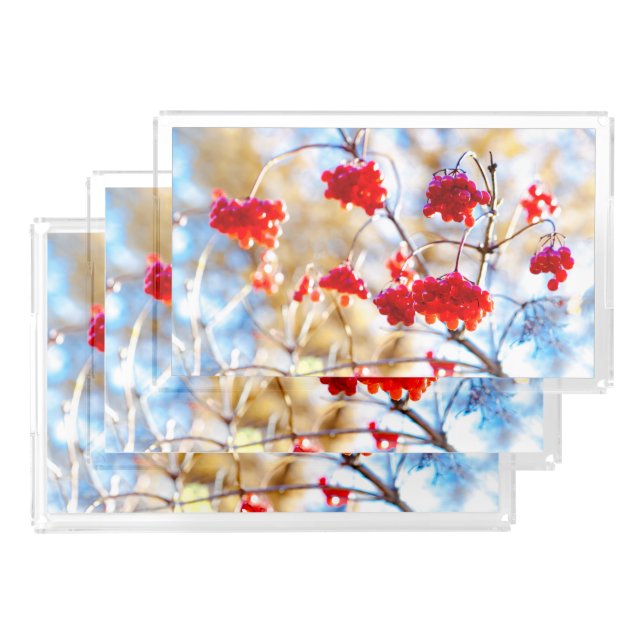 Arrowwood Berries Acrylic Tray (Set)