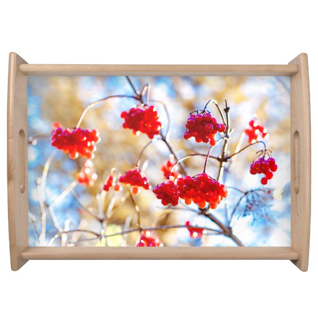 Arrowwood Berries Serving Tray (Front)