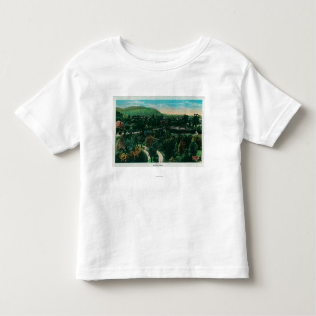 Arroyo Seco Grounds in Pasadena, CA Toddler T-shirt (Front)