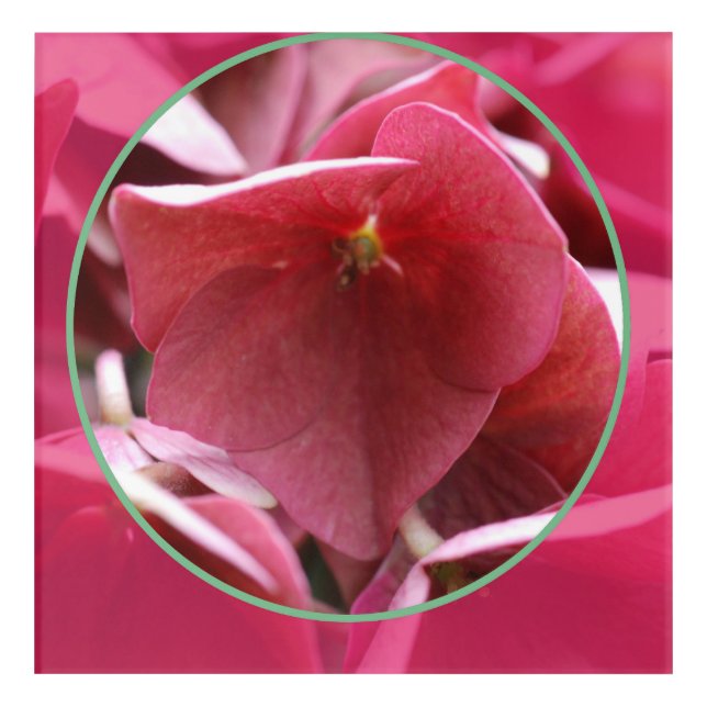 art and acrylic printing (Front)