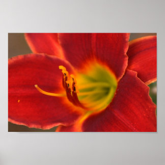 Art by Augle, Poster