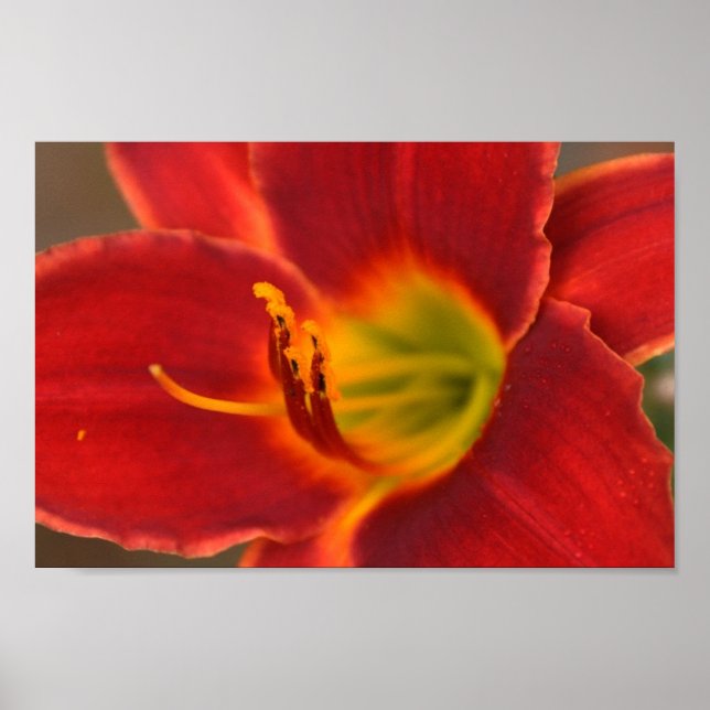 Art by Augle, Poster (Front)