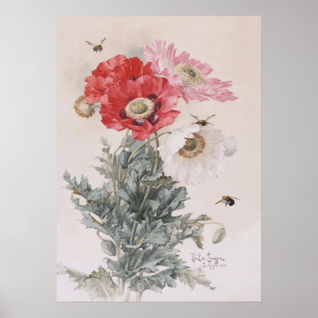 Art by Paul-De-Longpre, Poppies and Bees Poster (Front)