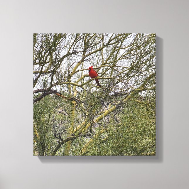 Art Canvas Cardinal (Front)