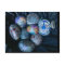 Art Card by San Diego Artists -Julie Ann Stricklin