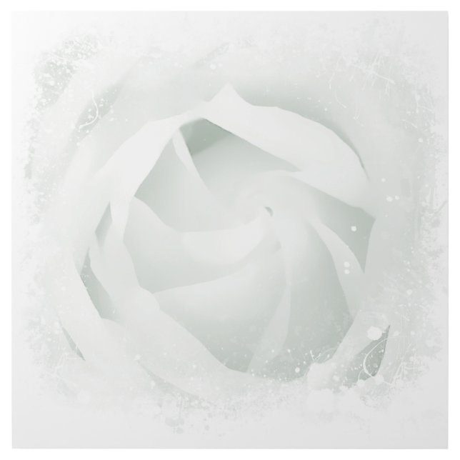 *~ Art Crisp White Rose Floral AR8 Gallery Wrap (Front)