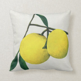 Art cushion Lemons - throw pillow