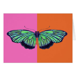 Art Deco Butterly with colorblock Cards