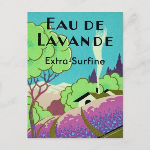 Art Deco French Lavender Farm Postcard