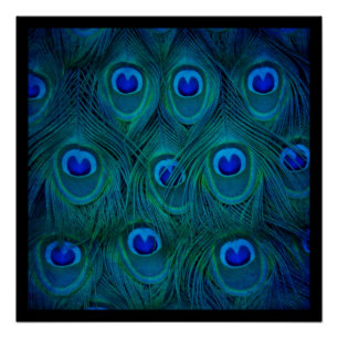 Art Deco  Parisian Teal Green Peacock Feather Poster