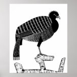 Art Deco Pauwie Bird animal wildlife Illustration Poster<br><div class="desc">Art Deco Pauwie Bird animal wildlife black and white Illustration poster</div>