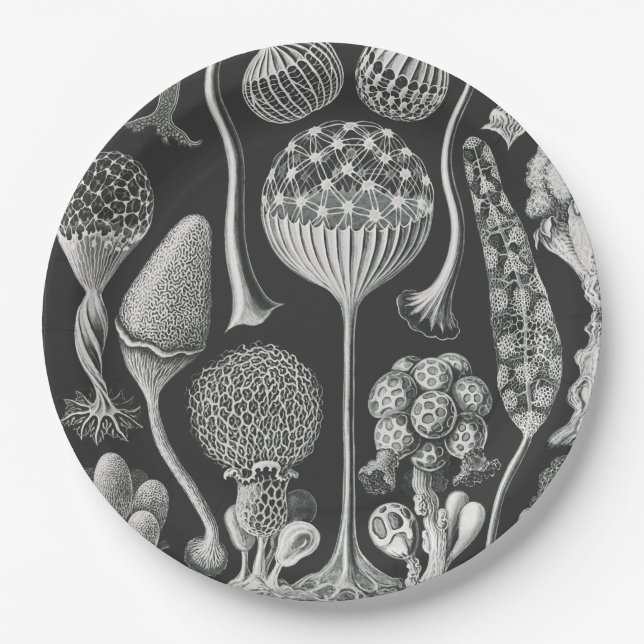  Art forms of nature  Paper Plates (Front)