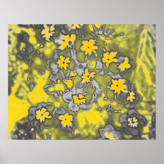 Art Graphics Photography Posters