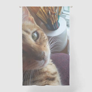 Art Muse Sheer Curtains