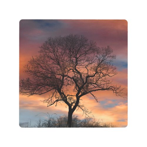 Art Nature Scenery Tree Silhouette Wall Decor