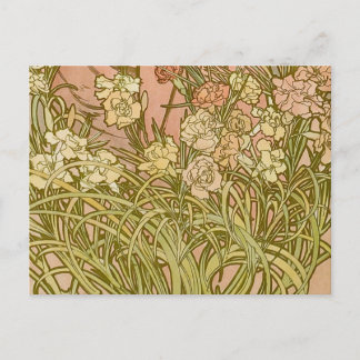 Art Nouveau Alfonse Mucha Floral carnation flowers Postcard