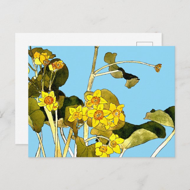 Art Nouveau Buttercups Postcard (Front/Back)