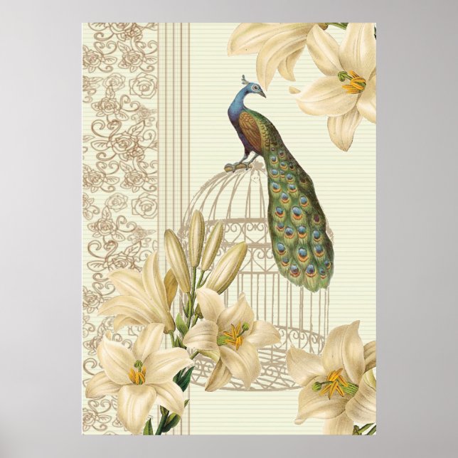 art nouveau  french lily vintage birdcage peacock poster (Front)