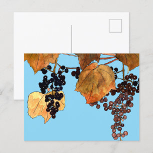 Art Nouveau Frost Grapes Postcard