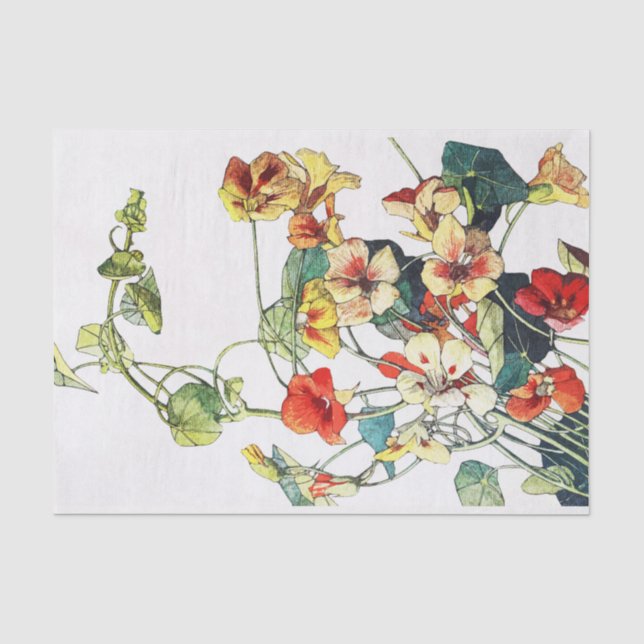 Art Nouveau Garden Nasturtium Flowers Tissue Paper (Front)