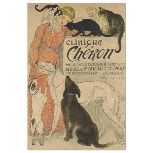 Art Nouveau Poster 21 Pets Lady Decoupage Tissue Paper