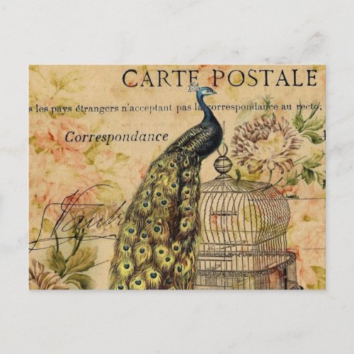 art nouveau vintage peacock french provincial postcard