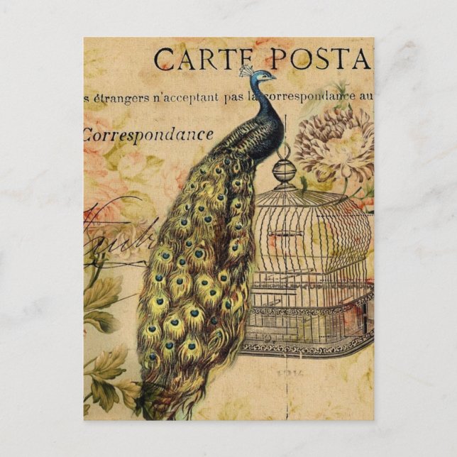 art nouveau vintage peacock french provincial postcard (Front)