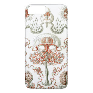 Art of Nature Vintage Ernst Haeckel Anthomedusae iPhone 8 Plus/7 Plus Case
