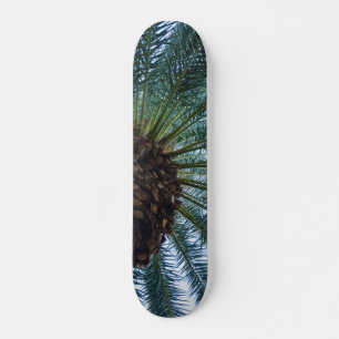 Art Of The Palm Tree Skateboard Deck