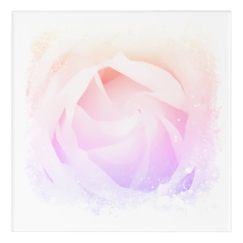  Art Pink Peach Rose Floral AR8 Acrylic Art