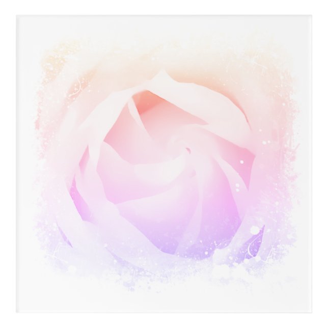 *~* Art Pink Peach Rose Floral AR8 Acrylic Art (Front)