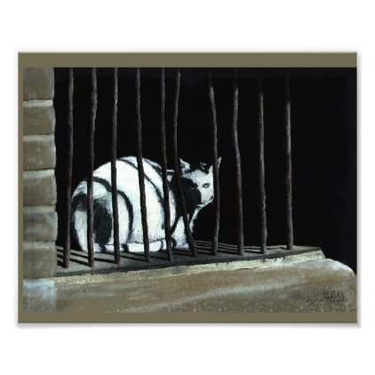 Art Print cat sitting behind old bars