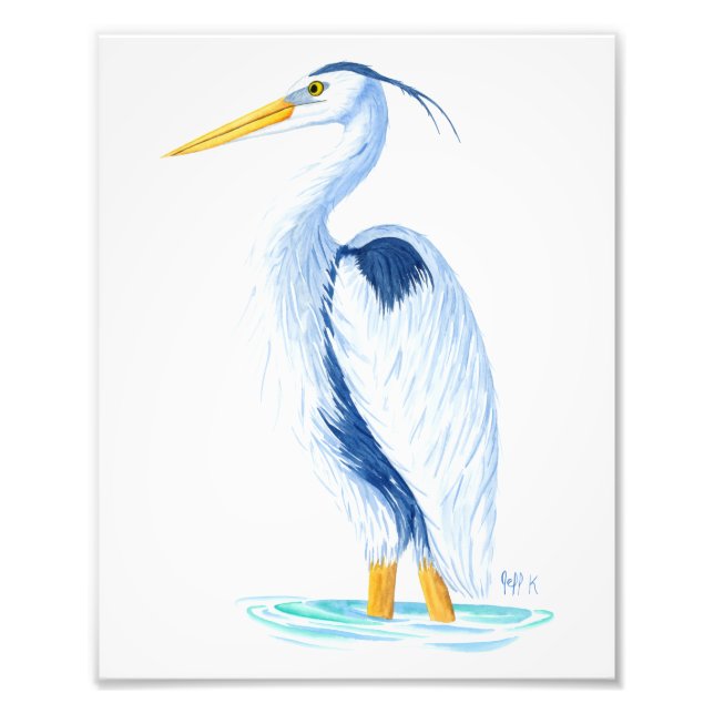 Art Print - Great Blue Heron (Front)