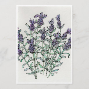 Art Print - Lavender - Watercolor & Ink  Card
