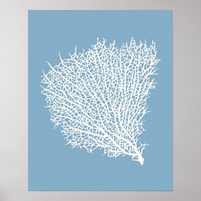 Art print of white coral fan on light blue (Front)