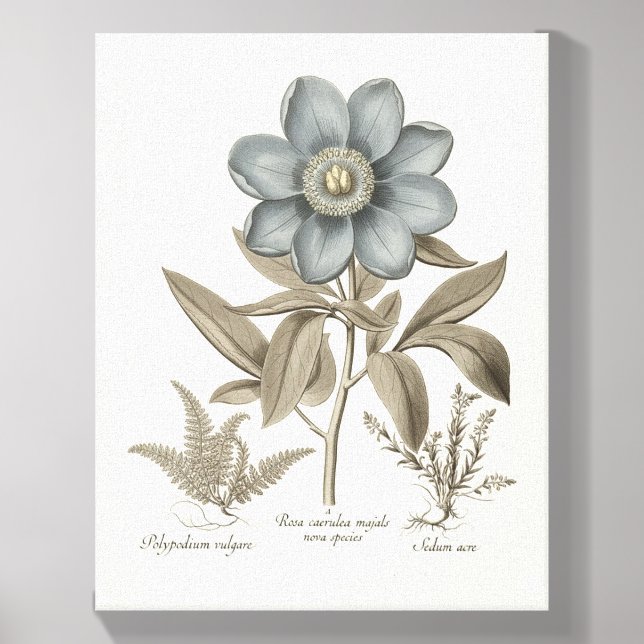 Art Sepia & Blue Botanical Prints Canvas Photo Tile (Front Set)