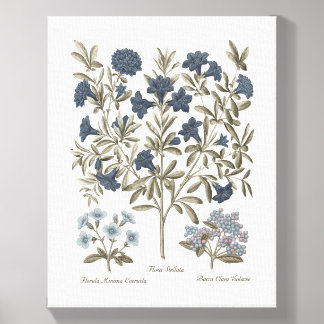 Art Sepia & Blue Botanical Prints Canvas Photo Tile